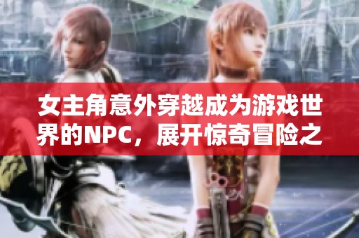 女主角意外穿越成为游戏世界的NPC，展开惊奇冒险之旅