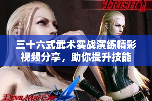 三十六式武术实战演练精彩视频分享，助你提升技能