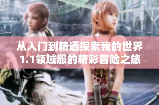 从入门到精通探索我的世界1.1领域服的精彩冒险之旅