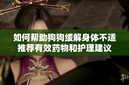 如何帮助狗狗缓解身体不适推荐有效药物和护理建议