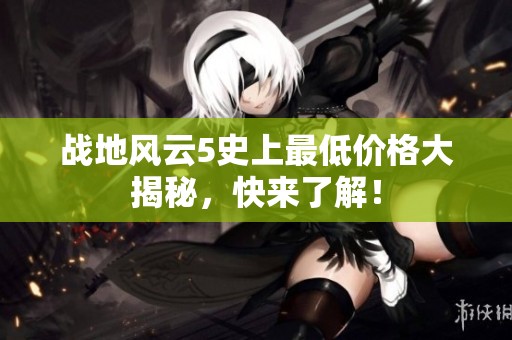 战地风云5史上最低价格大揭秘，快来了解！