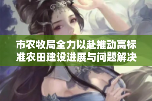 市农牧局全力以赴推动高标准农田建设进展与问题解决
