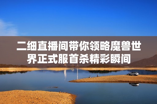 二细直播间带你领略魔兽世界正式服首杀精彩瞬间