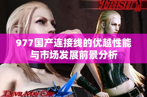 977国产连接线的优越性能与市场发展前景分析