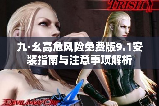 九·幺高危风险免费版9.1安装指南与注意事项解析