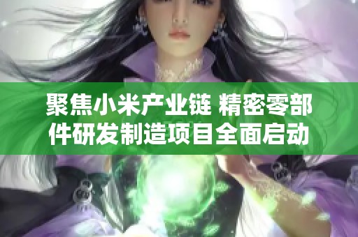聚焦小米产业链 精密零部件研发制造项目全面启动