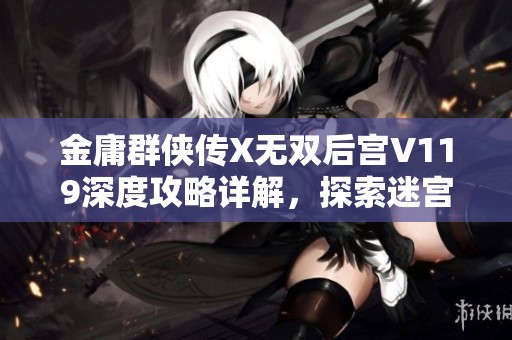 金庸群侠传X无双后宫V119深度攻略详解，探索迷宫与后宫之秘