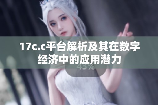 17c.c平台解析及其在数字经济中的应用潜力