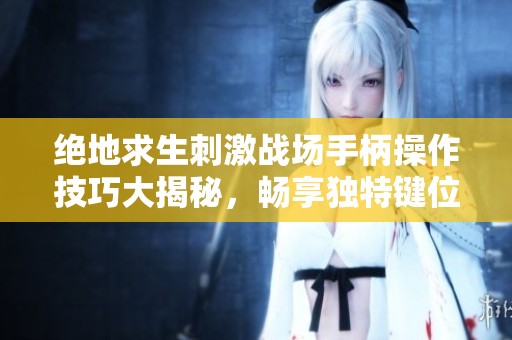 绝地求生刺激战场手柄操作技巧大揭秘，畅享独特键位体验