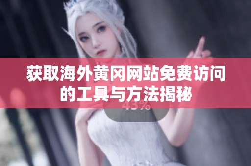 获取海外黄冈网站免费访问的工具与方法揭秘