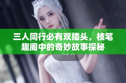 三人同行必有双插头，枝笔趣阁中的奇妙故事探秘