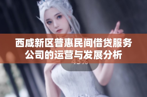 西咸新区普惠民间借贷服务公司的运营与发展分析