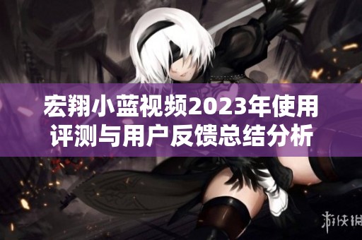 宏翔小蓝视频2023年使用评测与用户反馈总结分析
