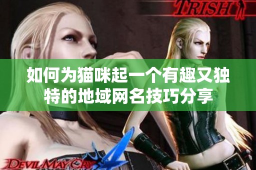 如何为猫咪起一个有趣又独特的地域网名技巧分享