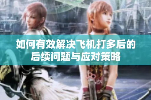 如何有效解决飞机打多后的后续问题与应对策略
