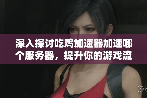 深入探讨吃鸡加速器加速哪个服务器，提升你的游戏流畅度