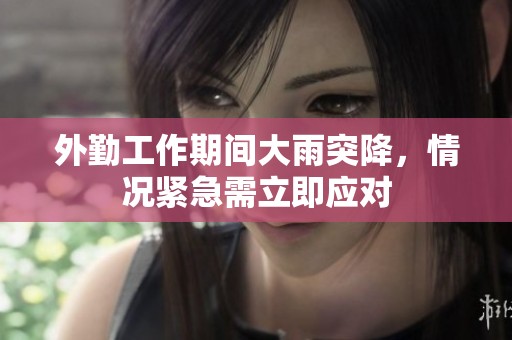 外勤工作期间大雨突降，情况紧急需立即应对