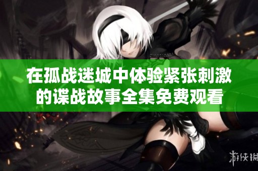 在孤战迷城中体验紧张刺激的谍战故事全集免费观看