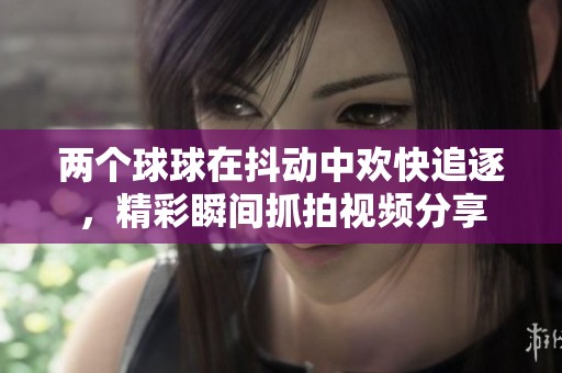 两个球球在抖动中欢快追逐，精彩瞬间抓拍视频分享