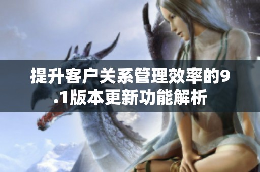 提升客户关系管理效率的9.1版本更新功能解析