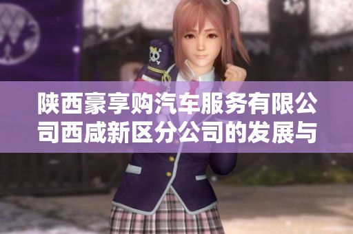 陕西豪享购汽车服务有限公司西咸新区分公司的发展与业务分析