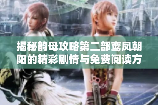 揭秘韵母攻略第二部鸾凤朝阳的精彩剧情与免费阅读方式