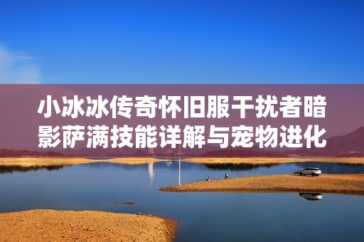小冰冰传奇怀旧服干扰者暗影萨满技能详解与宠物进化攻略