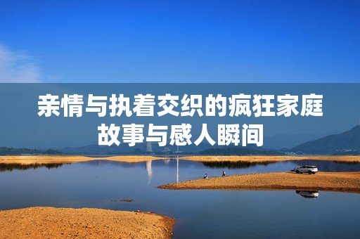 亲情与执着交织的疯狂家庭故事与感人瞬间