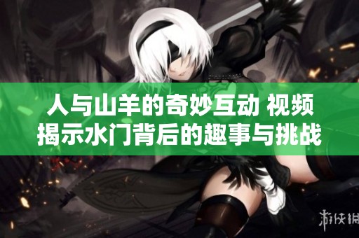 人与山羊的奇妙互动 视频揭示水门背后的趣事与挑战