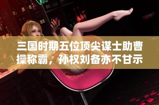 三国时期五位顶尖谋士助曹操称霸，孙权刘备亦不甘示弱