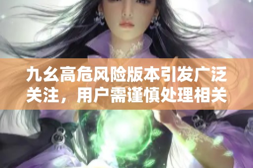 九幺高危风险版本引发广泛关注，用户需谨慎处理相关问题
