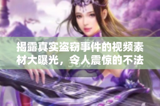 揭露真实盗窃事件的视频素材大曝光，令人震惊的不法行为