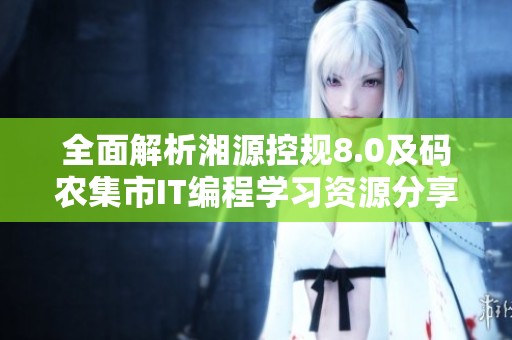 全面解析湘源控规8.0及码农集市IT编程学习资源分享