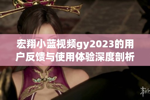 宏翔小蓝视频gy2023的用户反馈与使用体验深度剖析