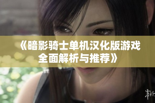 《暗影骑士单机汉化版游戏全面解析与推荐》