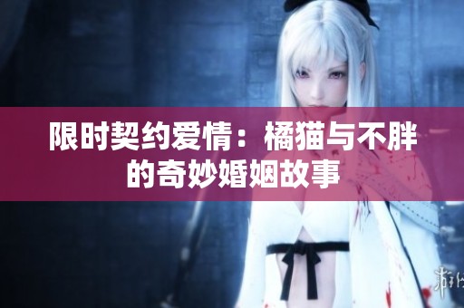 限时契约爱情：橘猫与不胖的奇妙婚姻故事