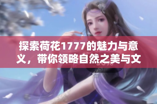 探索荷花1777的魅力与意义，带你领略自然之美与文化底蕴