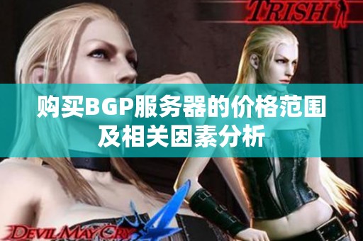 购买BGP服务器的价格范围及相关因素分析