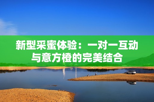 新型采蜜体验：一对一互动与意方橙的完美结合
