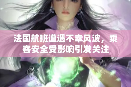 法国航班遭遇不幸风波，乘客安全受影响引发关注