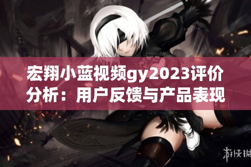 宏翔小蓝视频gy2023评价分析：用户反馈与产品表现详解