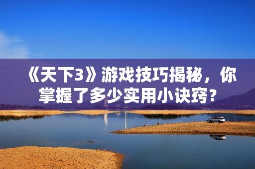 《天下3》游戏技巧揭秘，你掌握了多少实用小诀窍？