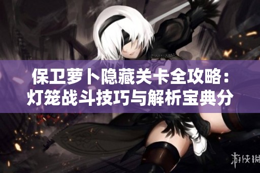 保卫萝卜隐藏关卡全攻略：灯笼战斗技巧与解析宝典分享
