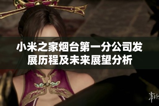 小米之家烟台第一分公司发展历程及未来展望分析