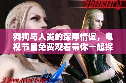 狗狗与人类的深厚情谊，电视节目免费观看带你一起探索