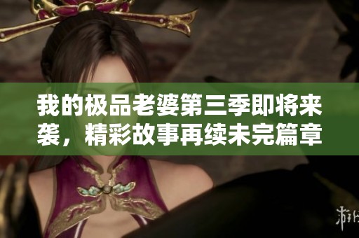 我的极品老婆第三季即将来袭，精彩故事再续未完篇章
