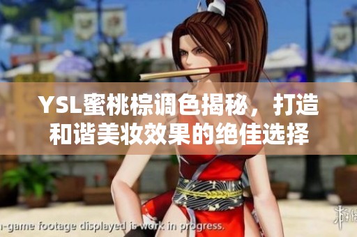 YSL蜜桃棕调色揭秘，打造和谐美妆效果的绝佳选择