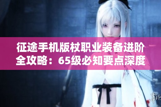 征途手机版杖职业装备进阶全攻略：65级必知要点深度解析