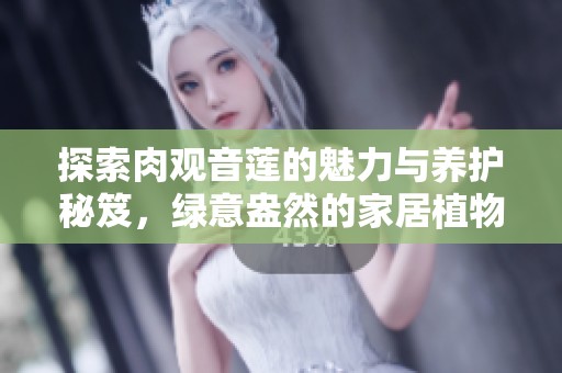 探索肉观音莲的魅力与养护秘笈，绿意盎然的家居植物选择