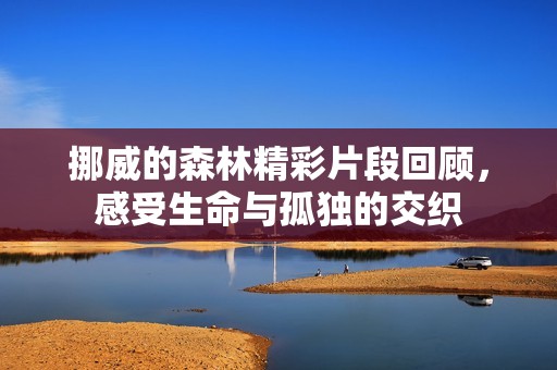 挪威的森林精彩片段回顾，感受生命与孤独的交织